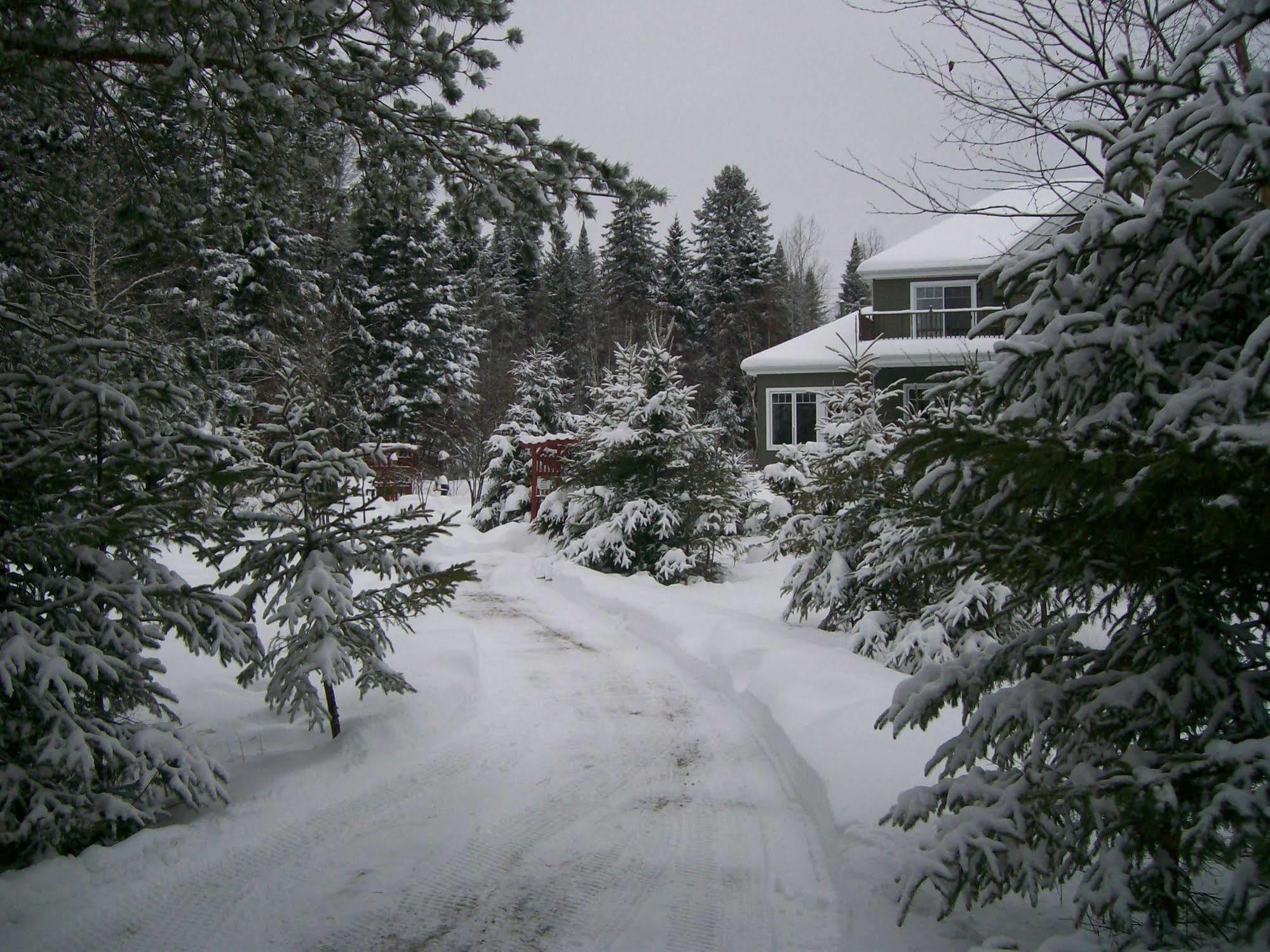 Au Nidaigle Bed & Breakfast Saint-Basile Exterior photo